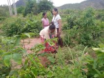 HerbalGarden-1.jpg