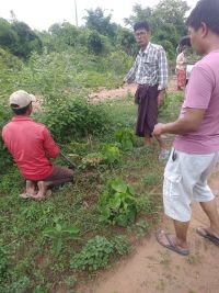 HerbalGarden-2.jpg