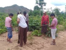HerbalGarden-3.jpg