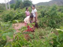 HerbalGarden-1.jpg