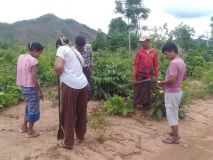 HerbalGarden-3.jpg